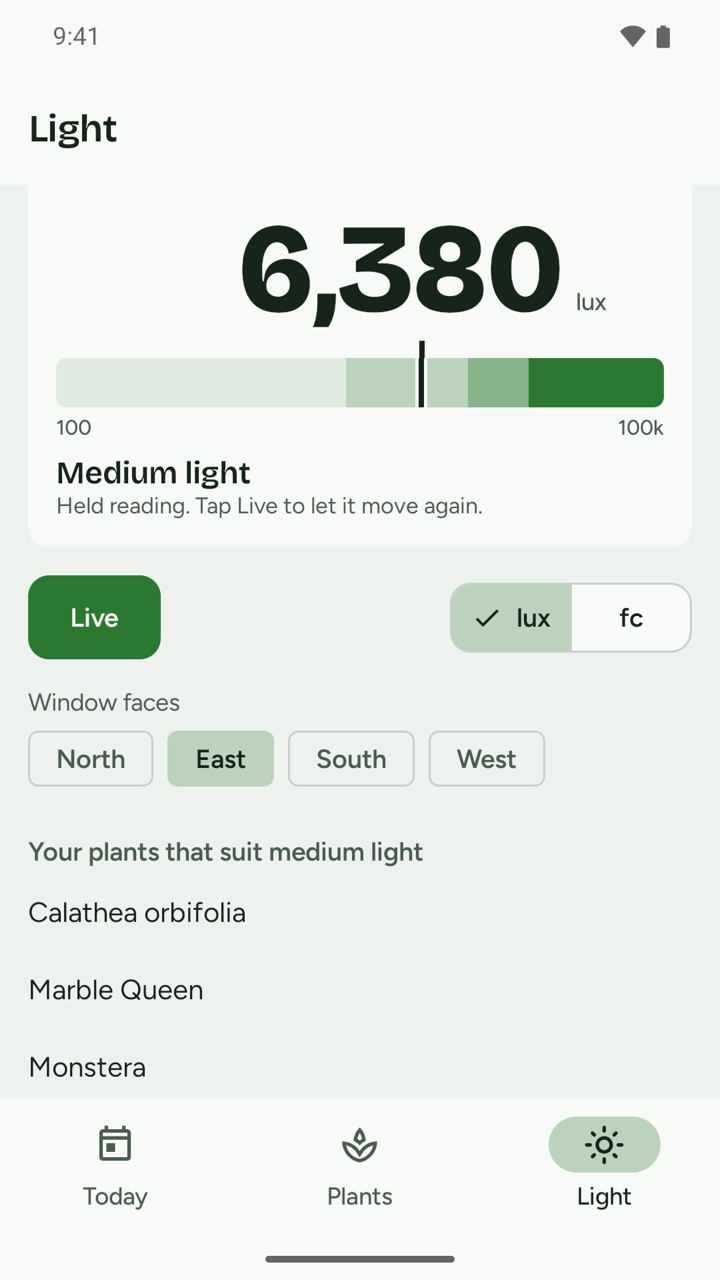 The Light screen reading 6,380 lux at an east window, medium light, with the plants that suit it